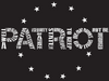 Second Amendment & Stars Decal